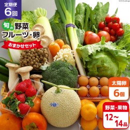 【ふるさと納税】AF058【定期便】【6回】島原の旬の野菜・果物！おまかせ野菜・果物・卵セット