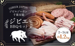 【ふるさと納税】ジビエBBQセット（2〜3名様）ジビエ イノシシ いのしし 猪 バーベキューセット BBQ セット もも 肩ロース バラ フランク