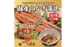 【ふるさと納税】＜冷凍3尾＞岬町自慢の味　うなぎの川島家　国産うなぎ蒲焼　中サイズ(195〜210g)特製タレ付き【1488338】