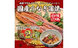 【ふるさと納税】＜冷凍2尾＞岬町自慢の味　うなぎの川島家　国産うなぎ蒲焼　大サイズ(211g〜225g)特製タレ付き【1488340】