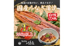 【ふるさと納税】＜冷凍1尾＞岬町自慢の味　うなぎの川島家　国産うなぎ蒲焼　特大サイズ(226g以上)特製タレ付き【1488342】