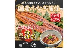 【ふるさと納税】＜冷凍3尾＞岬町自慢の味　うなぎの川島家　国産うなぎ蒲焼　特大サイズ(226g以上)特製タレ付き【1488346】