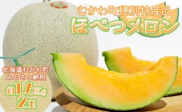 【ふるさと納税】＜2024年発送先行受付＞ほべつメロン2玉(約1.6Kg×2玉)＜むかわ町穂別特産品＞  【 ほべつメロン メロン 赤肉 ルピアレ