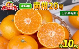 【ふるさと納税】愛媛 みかん 南柑20号 10kg 家庭用 S~2L サイズ ミックス 上杉果樹園 温州みかん 温州 蜜柑 果物 フルーツ 柑橘 農家直