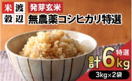 【ふるさと納税】発芽玄米 無農薬コシヒカリ「特選」特別栽培米使用 3kg×2袋（計6kg）【米 こしひかり 玄米 ギャバ GABA 無農薬 特別栽