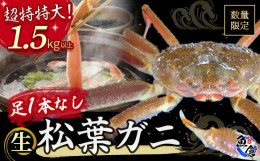 【ふるさと納税】【先行予約限定価格】【魚倉】足１本なし生松葉ガニ（超特特大１，５００ｇ以上） 訳あり 松葉ガニ カニ ズワイガニ カ