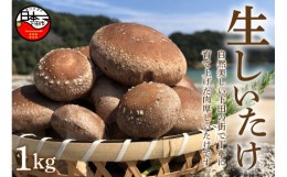 【ふるさと納税】＜サントピア下田＞生しいたけ(菌床) 1.0kg