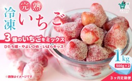 【ふるさと納税】【定期便3回】桧山FRUITFARM 冷凍いちご １kg（500g×２袋）×3か月 いちご農家さんからの直送品　【茨城県 常陸太田 い