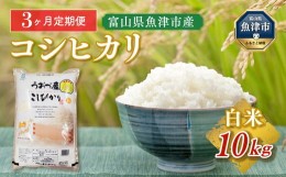 【ふるさと納税】10kg（5kg×2袋）×3ヶ月定期便 富山県うおづ産米コシヒカリ 白米 富山米