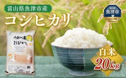 【ふるさと納税】富山県うおづ産コシヒカリ　20kg（5kg×4袋）白米　富山米