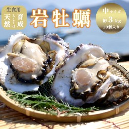 【ふるさと納税】訳あり 岩がき 中サイズ 10個入 3kg前後 生食用 京都府 舞鶴産 牡蠣【〜8月中頃まで発送予定】 殻付き 舞鶴産 京都産 岩