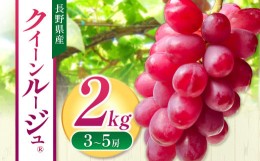 【ふるさと納税】クイーンルージュ? 2kg (3〜5房）| 先行 予約 ぶどう 葡萄 希少 品種  赤系 ブドウ 種無し フルーツ 特産品 千曲市 長野