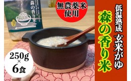 【ふるさと納税】【無農薬／香り米使用】低温熟成 玄米がゆ「森の香り米」) 250g×6食　Bnm-18　／四万十 しまんと お米 おかゆタイプ パ