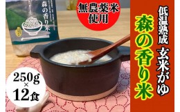 【ふるさと納税】【無農薬／香り米使用】低温熟成 玄米がゆ「森の香り米」) 250g×12食　Bnm-19　／四万十 しまんと お米 おかゆタイプ 