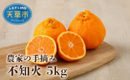 【ふるさと納税】S040-011_【2月発送】農家の手摘み不知火 約5kg 家庭用〈先行受付〉