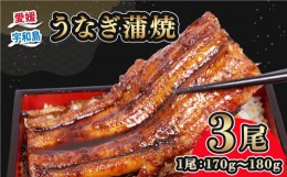 【ふるさと納税】うなぎ国産 うなぎ蒲焼 170 ~ 180g 3尾 タレ付き タレ 蜂蜜 入り 河野鮮魚店 手作り 高級 鰻 うなぎ ウナギ unagi 養殖 