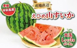 【ふるさと納税】えひめ 山すいか 7kg 〜 8kg 一玉 Lサイズ フレッシュつちやま 西瓜 すいか 大玉 大玉西瓜 大玉スイカ 祭ばやし 甘泉 品