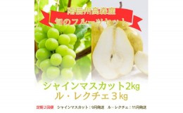 【ふるさと納税】【発送月固定定期便】旬のフルーツセット　シャインマスカット2kg/ル・レクチェ3kg　全2回