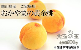 【ふるさと納税】桃 2024年 先行予約 ご家庭用 おかやま の 黄金桃  大玉 3玉（合計約900g） もも モモ 岡山県産 国産 フルーツ 果物