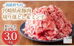 【ふるさと納税】高原育ちの宮崎県産豚肉切り落とし＆ミンチ3kg おいしさ満喫 アレンジ色々 [夕食 お弁当 一人暮らし 万能食材 生姜焼き 