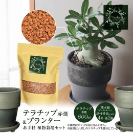 【ふるさと納税】三河焼植木鉢ダークシルバー【テラチップ赤焼】プランター お手軽植物栽培セット H188-002