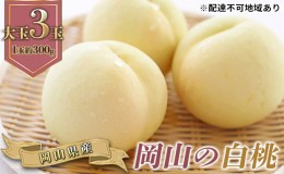 【ふるさと納税】桃 2024年 先行予約 岡山の 白桃 大玉3玉（晩生種）（1玉約300g） もも モモ 岡山県産 国産 フルーツ 果物 ギフト