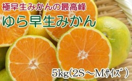 【ふるさと納税】【極早生みかんの逸品】和歌山県産ゆら早生みかん約5kg★2024年10月中旬頃から11月中旬頃順次発送【TM120】