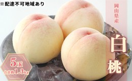 【ふるさと納税】桃 2024年 先行予約 白桃 5玉 合計約1.3kg もも モモ 岡山県産 国産 フルーツ 果物 ギフト