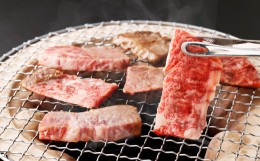 【ふるさと納税】【3か月定期便】熊本 あか牛 ファミリー  合計約2kg カルビ 焼き肉 すき焼き しゃぶしゃぶ ミニステーキ