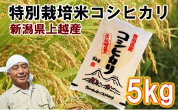 【ふるさと納税】【先行販売】新潟県上越産特別栽培米コシヒカリ5kg【白米】令和6年度産