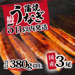 【ふるさと納税】【訳あり】国産うなぎ蒲焼き3尾セット(350g以上)　大きさ不揃い 山椒付き うなぎ ウナギ 国産 蒲焼 鰻 茨城 訳あり 八千