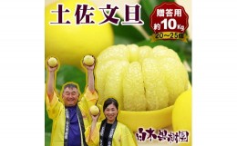 【ふるさと納税】【果樹園直送】土佐文旦特選品贈答用　約10kg　L〜2L　（20〜25個）　果物　柑橘　フルーツ　ぶんたん　ブンタン　分担