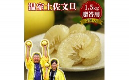 【ふるさと納税】温室土佐文旦　特選秀品ご贈答用中箱　2個入り 1.5kg 文旦 柑橘 みかん フルーツ ぶんたん ブンタン 果物 お取り寄せ お