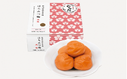 【ふるさと納税】【3カ月定期便】紀州南高梅 はちみつ梅 減塩（塩分3％）1kg(500g×2) / A級品 和歌山 田辺市 紀州南高梅 南高梅 梅干し 