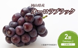 【ふるさと納税】ぶどう 2024年 先行予約 オーロラブラック 2房(1房480g以上)　化粧箱入り ブドウ 葡萄 岡山県産 国産 フルーツ 果物 ギ