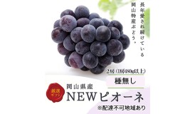 【ふるさと納税】ぶどう 2024年 先行予約 ニューピオーネ2房(1房480g以上) 化粧箱入り ブドウ 葡萄 岡山県産 国産 フルーツ 果物 ギフト