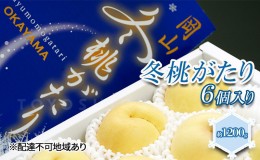 【ふるさと納税】桃 2024年 先行予約  岡山県産 白桃 冬桃がたり 6個入り 約1200g もも モモ 岡山県産 国産 フルーツ 果物 ギフト