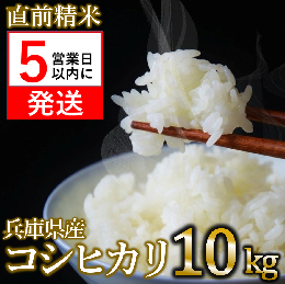 【ふるさと納税】【令和５年産 コシヒカリ】白米10kg（10kg×1袋）2023年産【５営業日以内に発送】(14-33) 米 お米 米10kg お米10kg 兵庫