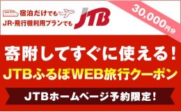 【ふるさと納税】【福岡市】JTBふるぽWEB旅行クーポン（30,000円分）