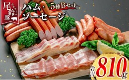 【ふるさと納税】【PREMIUM PORK】 尾鈴豚 ハム ソーセージ 詰め合わせ 合計810g 5種 Bセット 宮崎県産