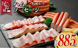 【ふるさと納税】【PREMIUM PORK】 尾鈴豚 ハム ソーセージ 詰め合わせ 合計885g 6種 セット 宮崎県産