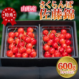 【ふるさと納税】さくらんぼ 「佐藤錦」 600g 特秀品 Lサイズ以上 山形産  FY24-031