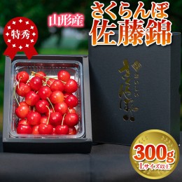 【ふるさと納税】さくらんぼ 「佐藤錦」 300g 特秀品 Lサイズ以上 山形産 FY24-032