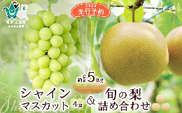 【ふるさと納税】【先行予約 数量限定】茨城県産 シャインマスカット4房と旬の梨詰め合わせ 計約5kg【茨城県 常陸太田市 桧山果樹園 ぶど