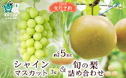 【ふるさと納税】【先行予約 数量限定】茨城県産 シャインマスカット3房と旬の梨詰め合わせ 計約5kg【茨城県 常陸太田市 桧山果樹園 梨 