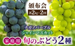 【ふるさと納税】【東御こもだ果樹園】家庭用旬のぶどう２品種、各２kg（ナガノパープル・シャインマスカット）頒布会｜農薬節減長野県認