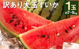 【ふるさと納税】訳あり 大玉すいか 1玉 約7kg〜9kg 【2024年5月下旬〜7月下旬発送予定】