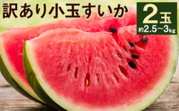 【ふるさと納税】訳あり 小玉すいか 2玉 約2.5kg〜3kg【2024年5月下旬〜7月下旬発送予定】