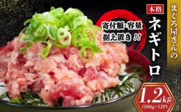 【ふるさと納税】【1週間程度で発送】キハダ マグロ ネギトロ 1.2kg ( 100g×12パック ) 冷凍 小分け 1人前 パック 自家製 まぐろ 鮪 ね