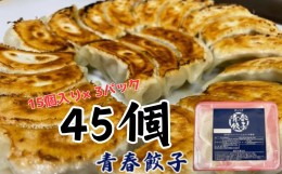 【ふるさと納税】餃子専門店青春餃子のもちもち肉汁餃子15個入り×3パック 45個